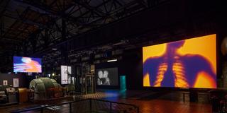 Die Ausstellung "X-Ray – die Macht des Röntgenblicks" in der Völklinger Hütte  (Foto: Weltkulturerbe Völklinger Hütte )