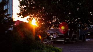 Foto von einem Sonnenuntergang am Saarbrücker Schloss in Saarbrücken (Foto: Instagram/visualdian)