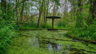 Altes Freibad Fischbach (Foto: Dennis aus Völklingen)