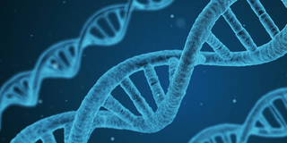 Stark vergrößerte DNA-Struktur (Foto: pixabay/qimono)