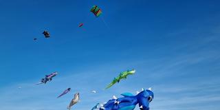 Drachen am Himmel (Foto: Christoph Schäfer)
