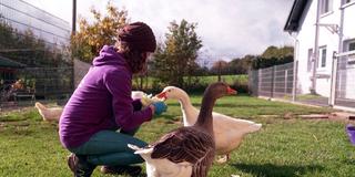 Gnadenhof Bardenbach (Foto: SR)