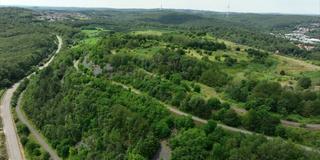 Berghalde Landsweiler-Reden (Foto: SR)