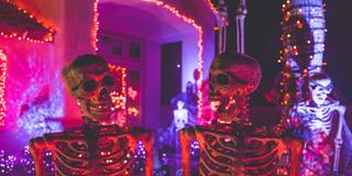 Halloween (Foto: unsplash.com Kenny Eliason)