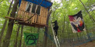 Protest-Baumhaus der Aktivisten im Saarbrücker Stadtwald „Hanni“ (Foto: SR)