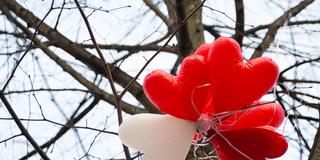 Herz-Luftballons (Foto: dpa)