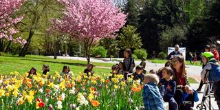 Frühling im Deutsch-Französischen-Garten (Foto: IMAGO / BeckerBredel)