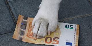 Hundepfote auf einem Geldschein     (Foto: IMAGO / Steinach    )