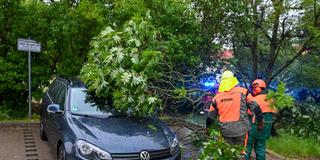 Ein Baum ist durch ein Unwetter auf ein Auto gestürzt. (Symbolbild) (Foto: IMAGO / EHL Media)