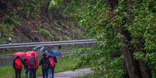 Wanderer mit Regenkleidung und Regenschirmen laufen neben einer Straße am Waldrand. (Foto: IMAGO / Funke Foto Services    )