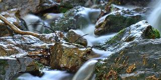 Der über Fels fließende Traunbach im Nationalpark Hunsrück-Hochwald (Foto: IMAGO / imagebroker)