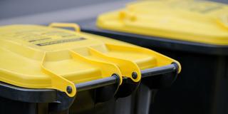 Mehrere gelbe Tonnen  (Foto: IMAGO / Michael Gstettenbauer)