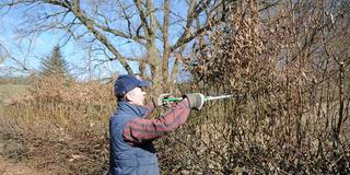 Ein Mann schneidet noch im Februar seine Hainbuchenhecke. (Foto: Imago/Zoonar/Peter Himmelhuber)