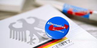 Ein AfD-Button liegt auf einer Ausgabe des Grundgesetzes (Foto: IMAGO / Christian Ohde)