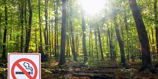 Symbolbild: Ein Schild mit der Aufschrift „Rauchen verboten“ steht vor einem Wald mit hochstehender Sommersonne (Foto: IMAGO / Zoonar)