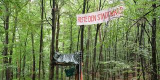 Ein Teil des Saarbrücker Stadtwalds (Hanni) ist von Umweltaktivisten besetzt (Aufnahme von 2024) (Foto: IMAGO / BeckerBredel)
