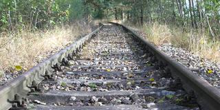 Gras und Unkraut wuchert an den Gleisen einer stillgelegten Bahnstrecke (Foto: IMAGO / BildFunkMV)