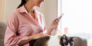 Eine Frau sitzt mit Katze auf dem Schoß an ihrem Smartphone (Foto: IMAGO / YAY Images)