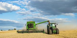 Mähdrescher erntet Weizen und entlädt Getreide auf einen Traktor mit Anhänger. (Foto: Imago / imageBROKER / Andreas Vitting)