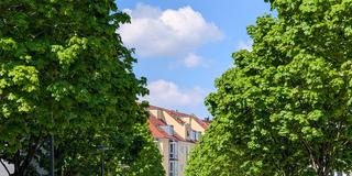 Grünflächen in einem Wohnviertel (Symbolfoto) (Foto: IMAGO / NurPhoto)