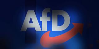 Schatten von Menschen vor dem AfD Logo (Foto: IMAGO / Sven Simon)