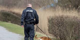 Personensuche. Ein Polizist geht mit seinen Spürhund einen Weg ab. (Foto: IMAGO / Deutzmann)