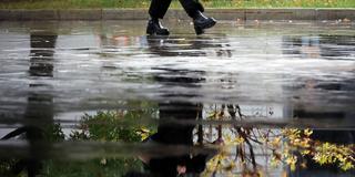 Jemand spiegelt sich beim Herbst-Spaziergang mit Schirm in einer Pfütze (Foto: IMAGO / ITAR-TASS)