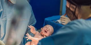 Ein Baby wird per Kaiserschnitt entbunden. (Foto: IMAGO / YAY Images)