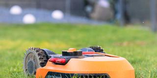 Mähroboter im Einsatz (Foto: IMAGO / HMB-Media)