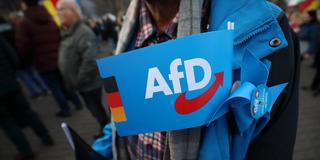 Eine Person hält eine AfD-Fahne in der Hand (Foto: IMAGO / Müller-Stauffenberg)
