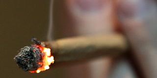 Joint (Foto: dpa)