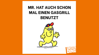Der Trend mit Little Miss und Mr Men als Saarland-Version. (Foto: UNSERDING/Imgflip)