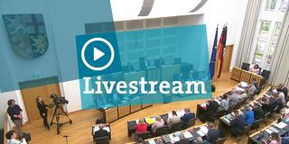 Livestream: Landtag Saarland (Foto: SR)