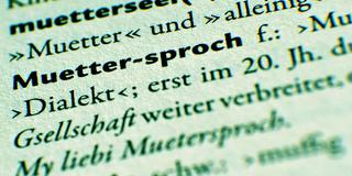 Muttersprache (Foto: picture alliance/dpa | Tobias Kleinschmidt)