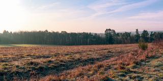Gelände eines vorgesehenen Neubaugebiets in Wadern (Foto: SR)