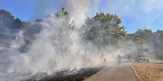 Neunkirchen: Flächenbrand wütet auf 1 Hektar im Wagwiesental (Foto: Kai Hegi/Feuerwehr Neunkirchen)