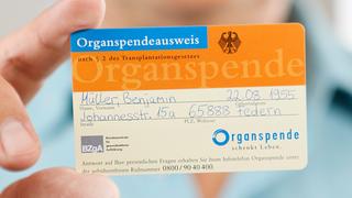 Organspendeausweis (Foto: BZgA/Hardy Welsch)