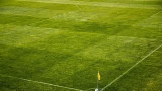 Leeres Fußballfeld (Foto: pixabay/jarmoluk)