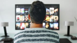 Ein junger Mann sitzt vor einem TV. Er sitzt mit dem Rücken zur Kamera (Foto: pixabay/mohamed_hassan)