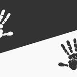 Schwarze und Weiße Hände (Foto: pixabay.com/mmi9)