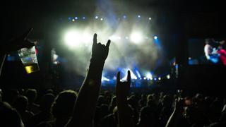 Die Menge bei einem Konzert. Im Hintergrund ist die Bühne zu sehen.  (Foto: Marius Collet)