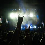 Die Menge bei einem Konzert. Im Hintergrund ist die Bühne zu sehen.  (Foto: Marius Collet)
