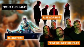 Collage aus den mehreren Bands vor einem verschwommenen Hintergrund:  Alligatoah, Rise Against und Feine Sahne Fischfilet. (Foto: UNSERDING/Pressefotos)