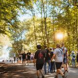 Mehrere Leute laufen auf einem Weg durch ein Waldstück. (Foto: MXM Photo)