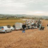 Autos parken auf einem Feld (Foto: MXMPhoto)