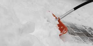  (Foto: pixabay/Bru-nO)