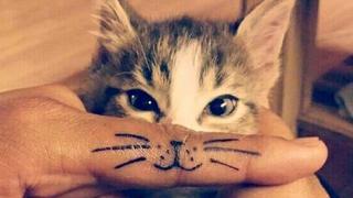 Katzen-Tattoo (Foto: FB/ Rebecca)