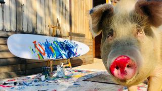 Mit rotem Rüssel steht Hausschwein Pigcasso neben einem frisch erstellten Gemälde.  (Foto: picture alliance/dpa | Joanne Lefson)