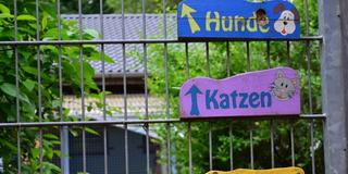 Wegweiser im Tierheim Homburg (Foto: SR / Nele Posthausen)