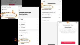 Vier Screenshots von Tiktok. (Foto: TikTok)